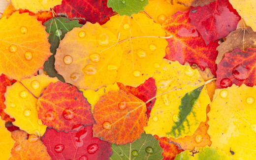1332105 (a): :2880x1800